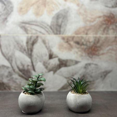 Apartman Tara 苏博蒂察 外观 照片