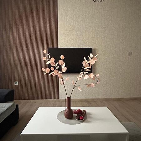 Apartman Tara 苏博蒂察 外观 照片