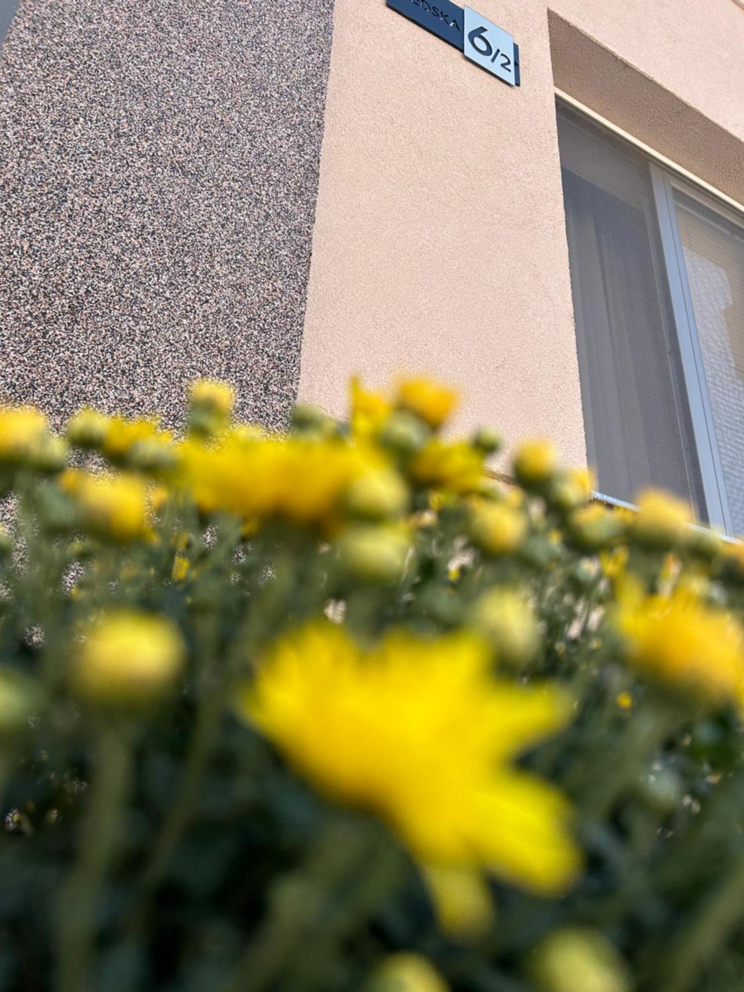 Apartman Tara 苏博蒂察 外观 照片