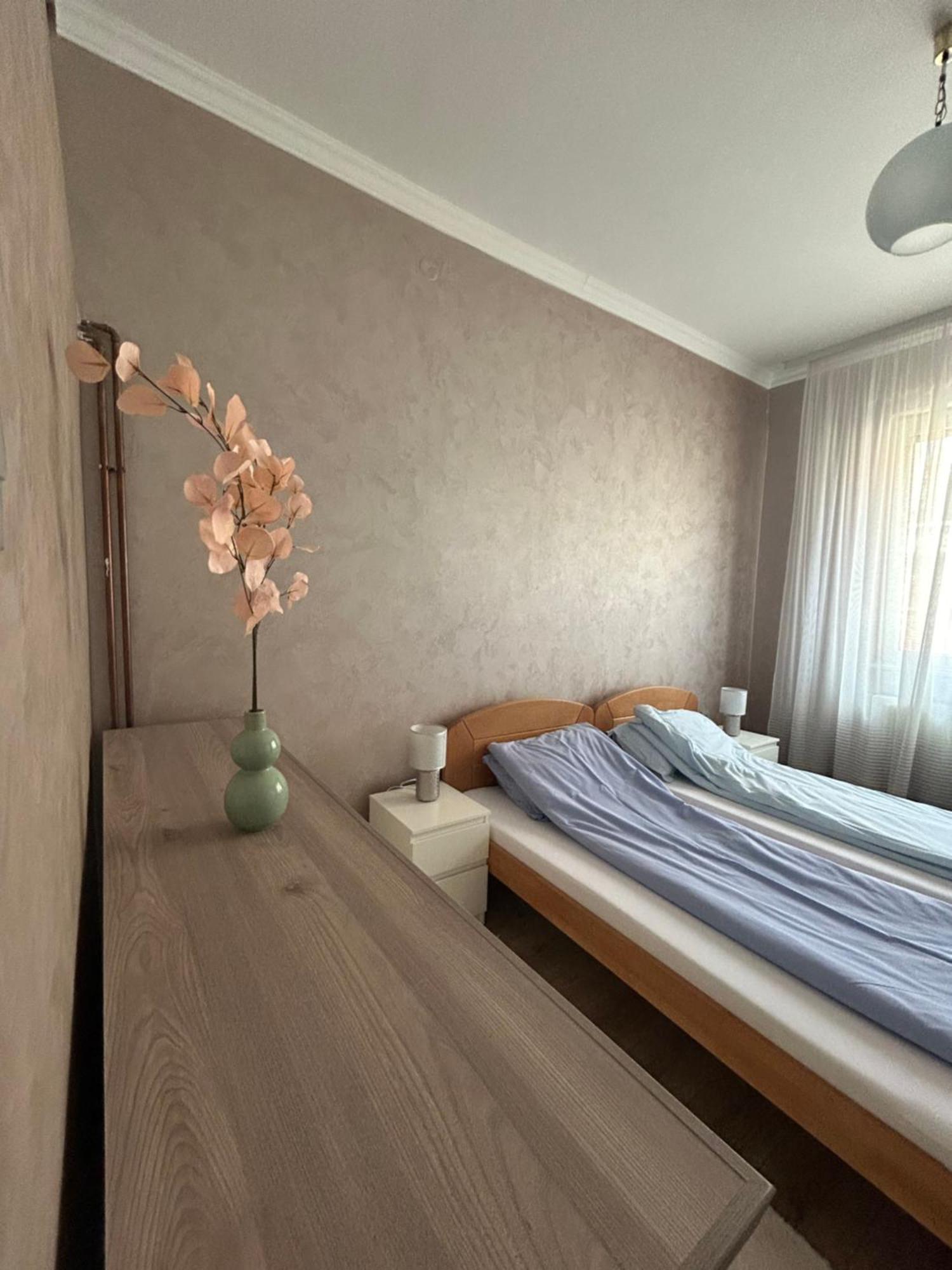 Apartman Tara 苏博蒂察 外观 照片