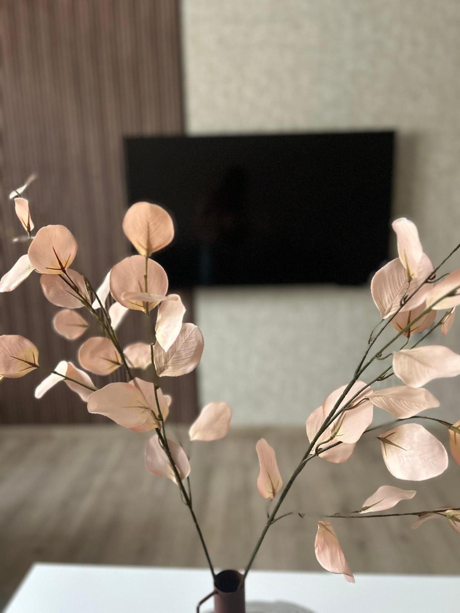 Apartman Tara 苏博蒂察 外观 照片