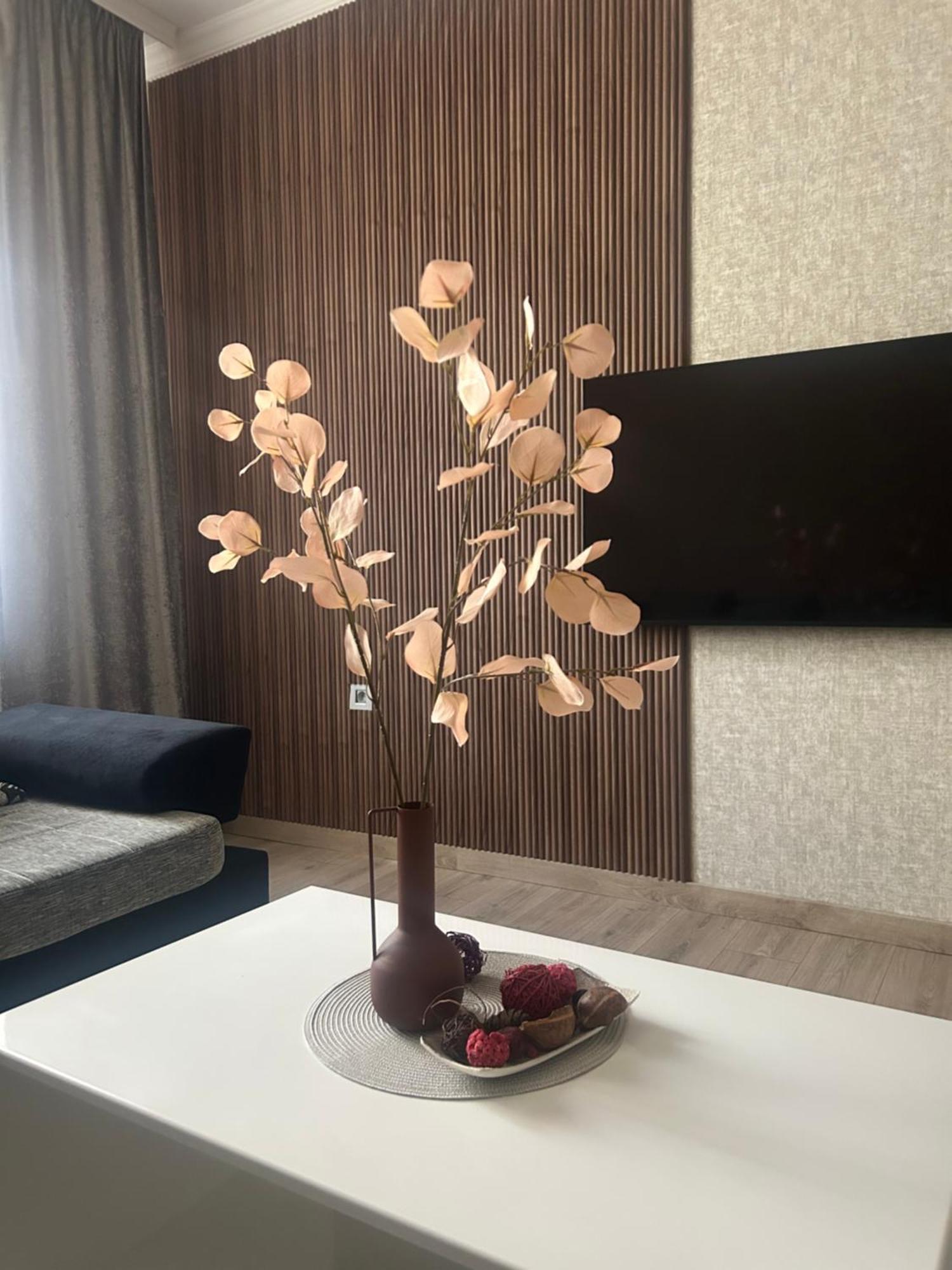 Apartman Tara 苏博蒂察 外观 照片